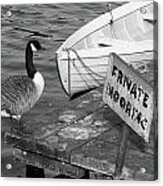 Goose On Pier Acrylic Print