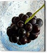Grape Cluster In Biot Glass Acrylic Print