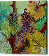 Grapes And Leaves V Acrylic Print