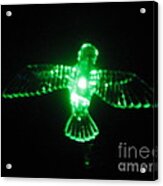 Green Neon In Flight Acrylic Print