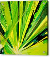 Green Of Um Acrylic Print