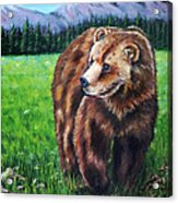 Grizzly Bear In Field Of Flowers Painting Acrylic Print