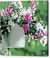 Hanging Flower Basket Acrylic Print