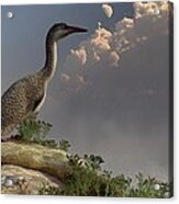 Hesperornis By The Sea Acrylic Print