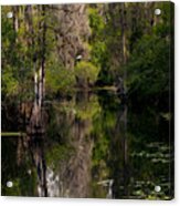 Hillsborough River In March Acrylic Print