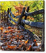 Holding Back The Colors Of Fall Acrylic Print