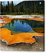 Hot Springs Yellowstone Acrylic Print