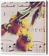I'm A Musician, And I Love Combining Acrylic Print