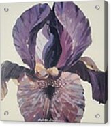 Iris 1 Acrylic Print