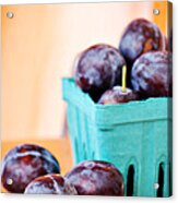 Italian Plums Acrylic Print