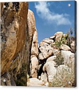 Joshua Tree Rocks Acrylic Print