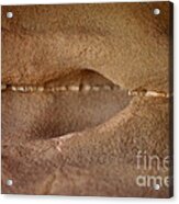 Just A Thin Slice Of Time Acrylic Print