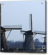 Kinderdijk Windmills 2 Acrylic Print