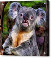 Koala Acrylic Print