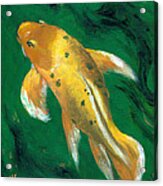 Koi At Muttart Acrylic Print