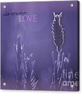 Lavender Love Acrylic Print