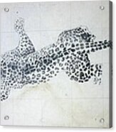 Leopard Acrylic Print