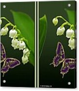 Lily Of The Valley - Gently Cross Your Eyes And Focus On The Middle Image Acrylic Print
