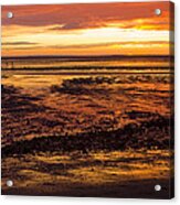 Low Tide Acrylic Print