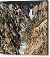Lower Falls Of The Yellowstone River Acrylic Print