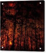 Magic Forest Autum - Herbst Im Zauberwald Acrylic Print