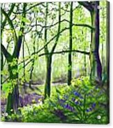 Marsh Marigolds And Bluebells Acrylic Print