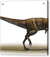 Megapnosaurus Kayentakatae Acrylic Print