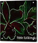 Mele Kalikimaka - Merry Christmas From Hawaii Acrylic Print