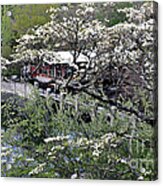 Montreat In Spring Acrylic Print