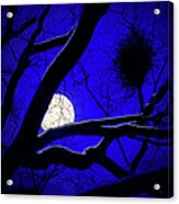Moon Wood Acrylic Print