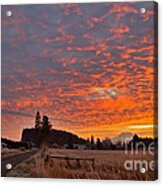 Mount Rainier Dawn Acrylic Print