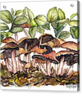 Mushroom Forest Acrylic Print