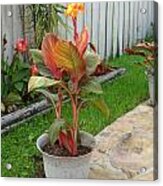 My Mother's Day Plant Acrylic Print