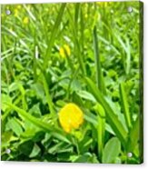 #nature #green #yellow #sunday #boobs Acrylic Print