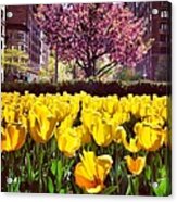 New York City In The Spring Acrylic Print