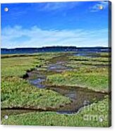 Nisqually Estuary At Low Tide Acrylic Print