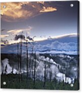 Norris Geyser Basin With Steam Plumes Acrylic Print