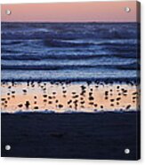 Ocean Sunset Acrylic Print