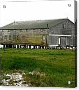 Old Cannery Oysterville Acrylic Print