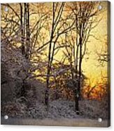 Once Upon A Winter Morning.. Acrylic Print
