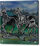 Painted Horses Acrylic Print