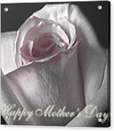 Pale Pink Rose Greeting Card  Mother's Day Acrylic Print
