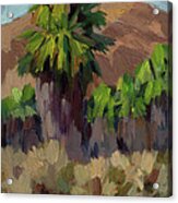 Palms At San Andreas Acrylic Print