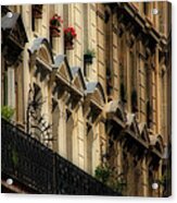 Paris Windows Acrylic Print