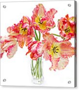 Parrot Tulips In A Glass Vase Acrylic Print