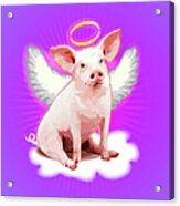 Pig With Wings And Halo Acrylic Print