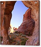 Pine Tree Arch Acrylic Print