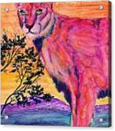 Pink Lion Acrylic Print