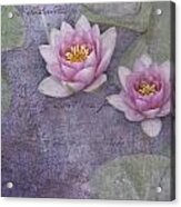 Pink Water Lillies Acrylic Print