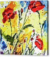 Poppies Provence Summer Floral Acrylic Print
